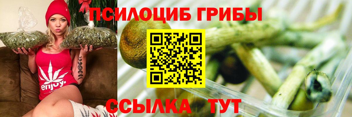 Псилоцибиновые грибы ЛСД  Вход с VPN  хочу наркоту  Вольск 